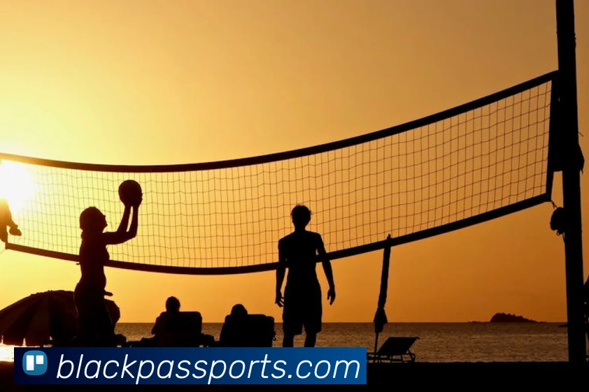 体育下注平台生态图